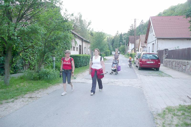 szate 201.jpg